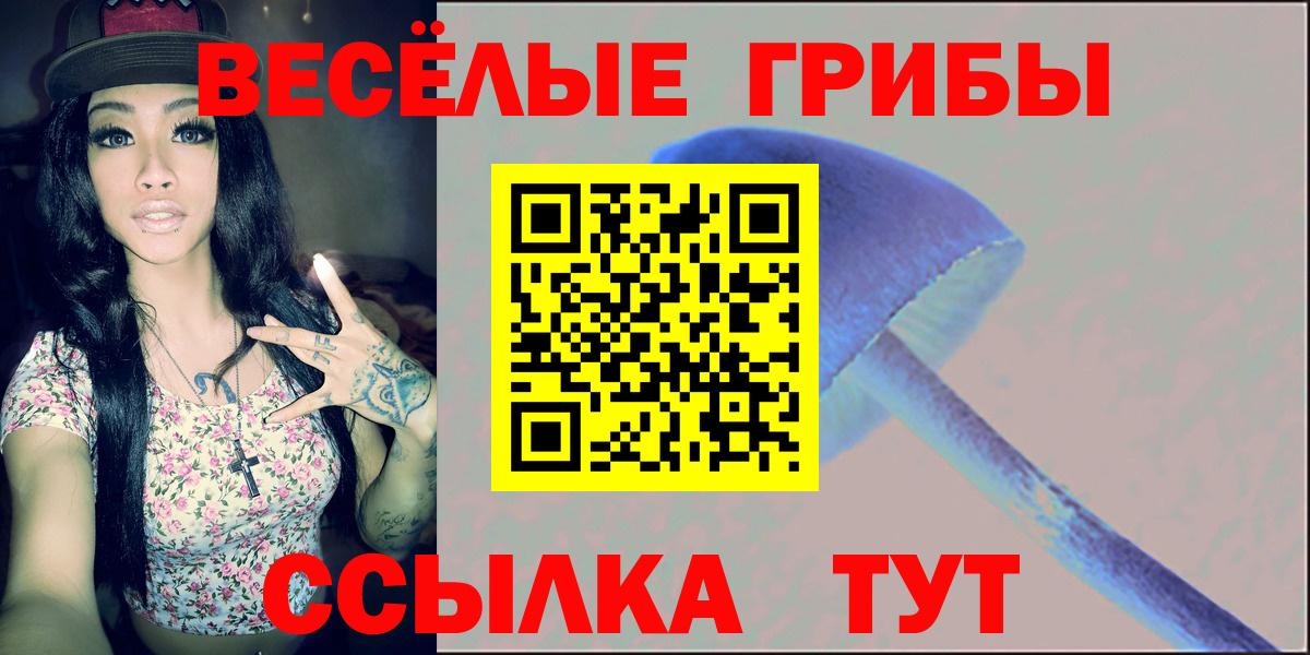 Псилоцибиновые грибы Psilocybe Сочи