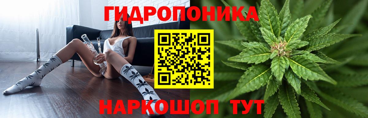 Шишки марихуана Amnesia Сочи